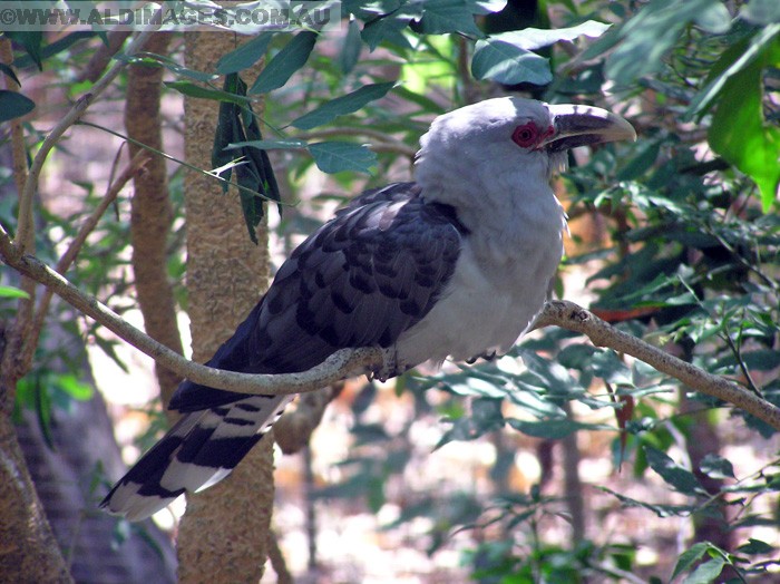 678x501 pixels (214K)